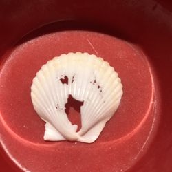 I Found Jesus In A Seashell