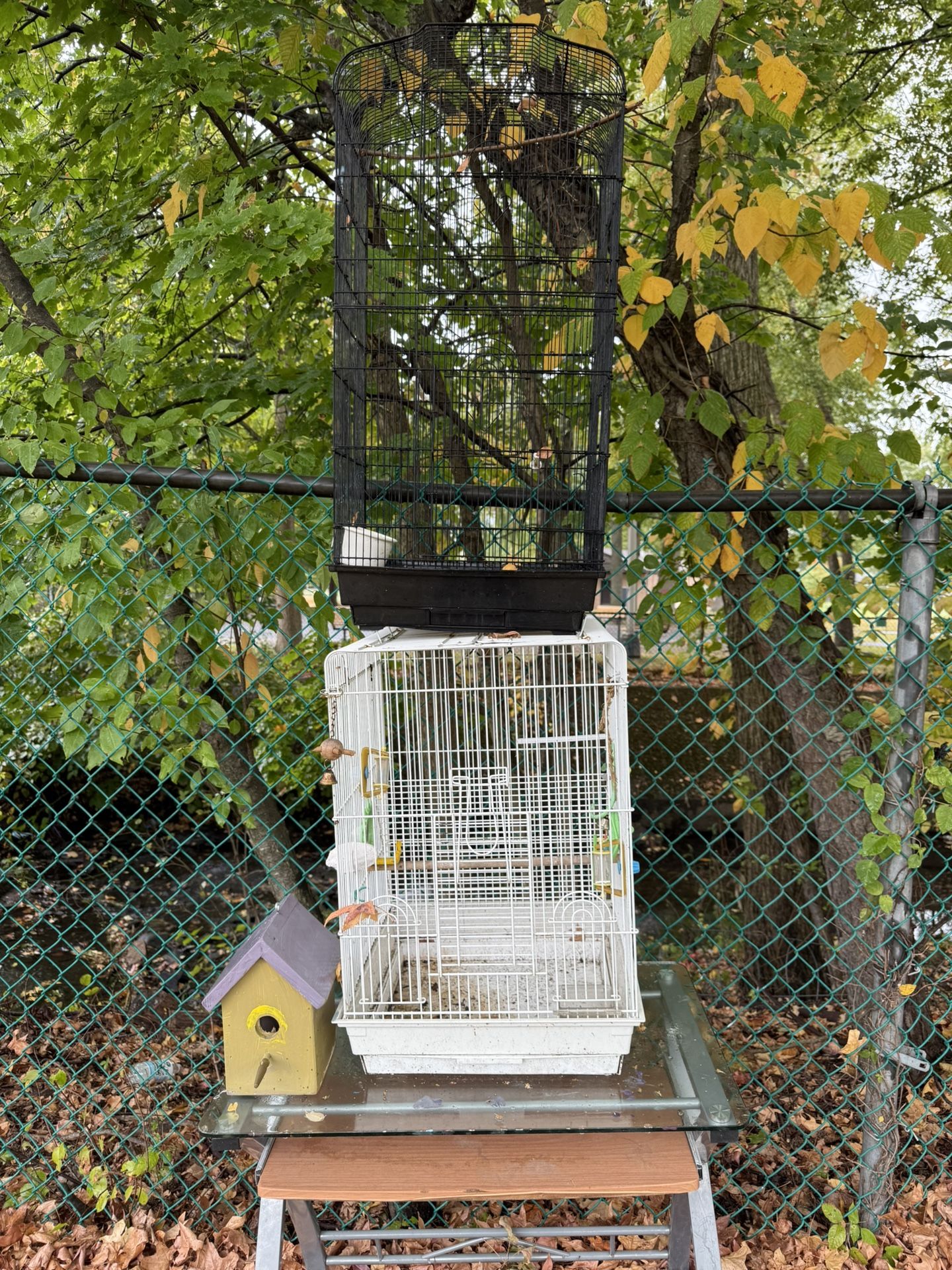 Bird House 