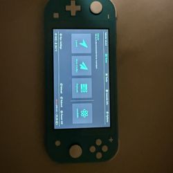 Nintendo Switch Lite (Modded)
