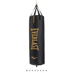 Everlast Punching Bag and Stand