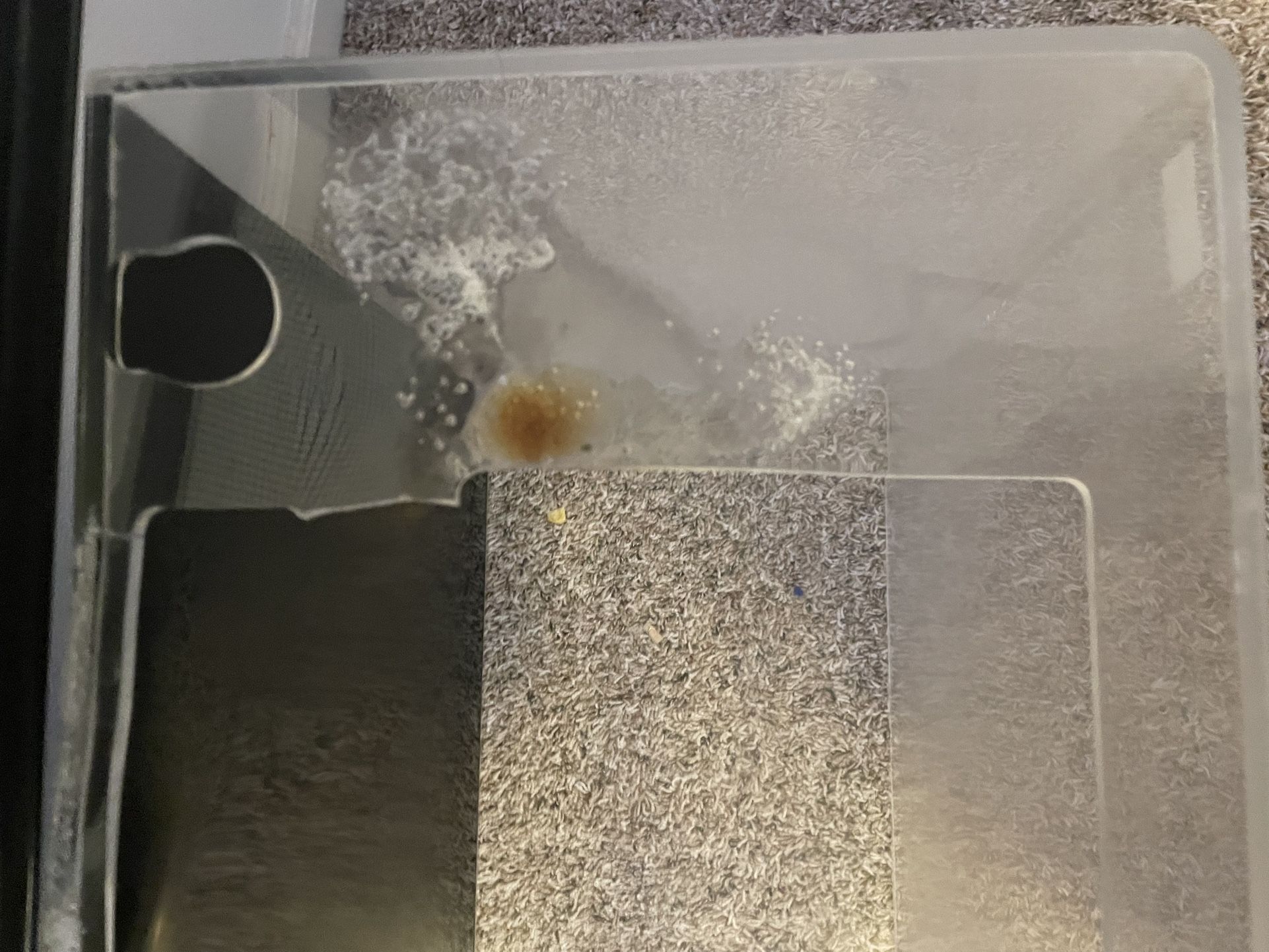 plexiglass fish/ reptile tank for Sale in Tigard, OR OfferUp