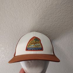 Patagonia Trucker Hat We Stand For The Waters Adult One Size 
