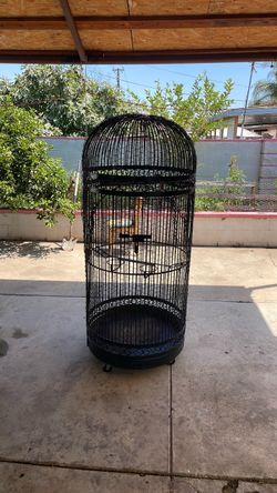 Bird cage