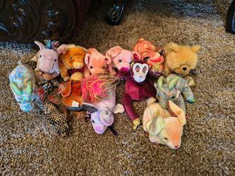 13 Zodiac TY Collection