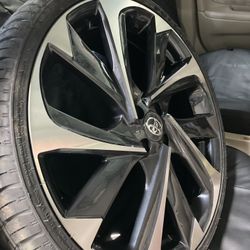 4x100 Size 20 