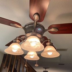 Hunter Bay fan, like new ! 