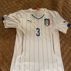 Authentic Italy International Jersey