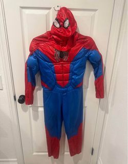 Spider-Man 10-12 costume