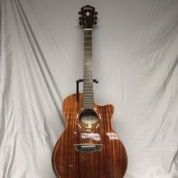 Washburn Guitar