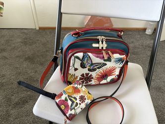 hanmd bag and matching wallwt