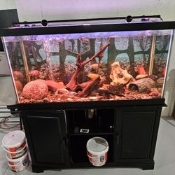 fish tank