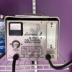36 Volt Golf Cart Charger