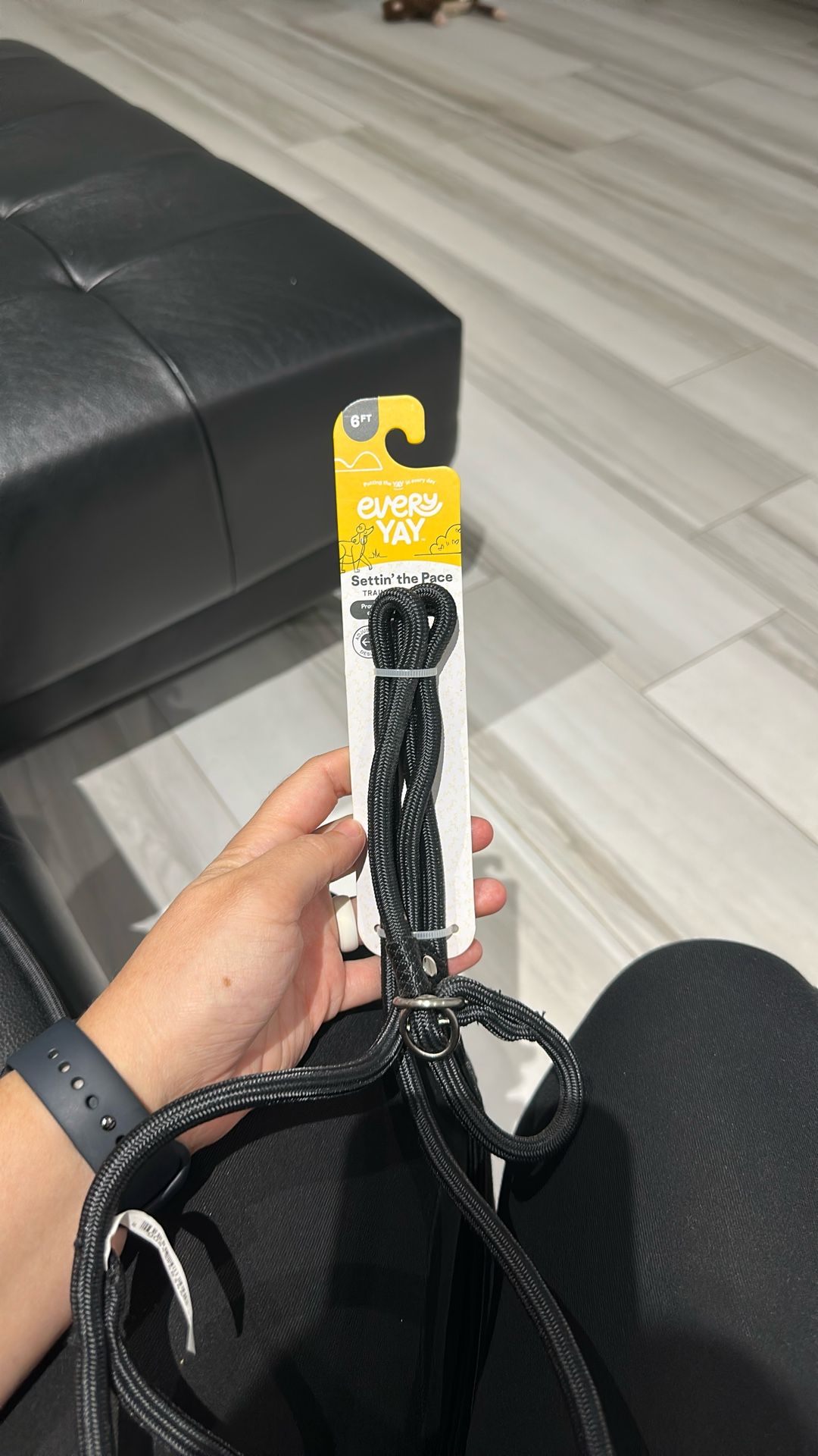 Every Yay Setting The Pace Training Slip Lead Leash Black 6 Ft