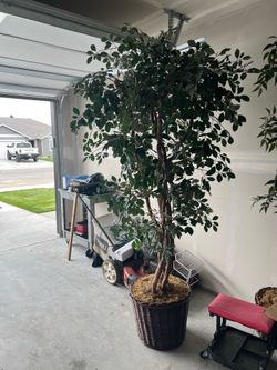 Free 2 - 7Ft Fake trees home Decor