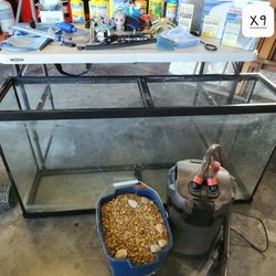 Fishtank & Accessories
