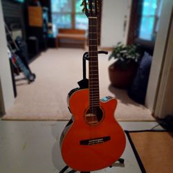 Ibanez Acoustic Electric Guitar