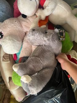 Free Stuffed Animals