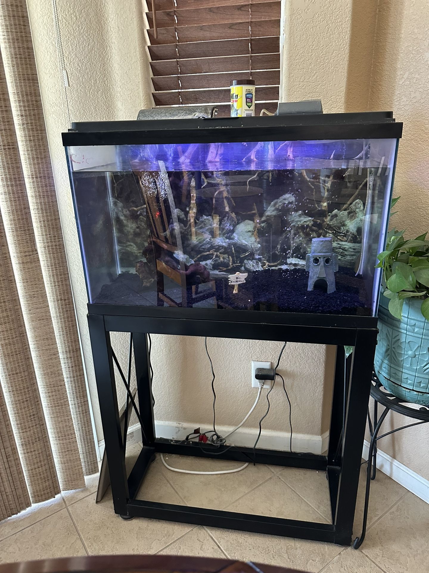 Fish Tank