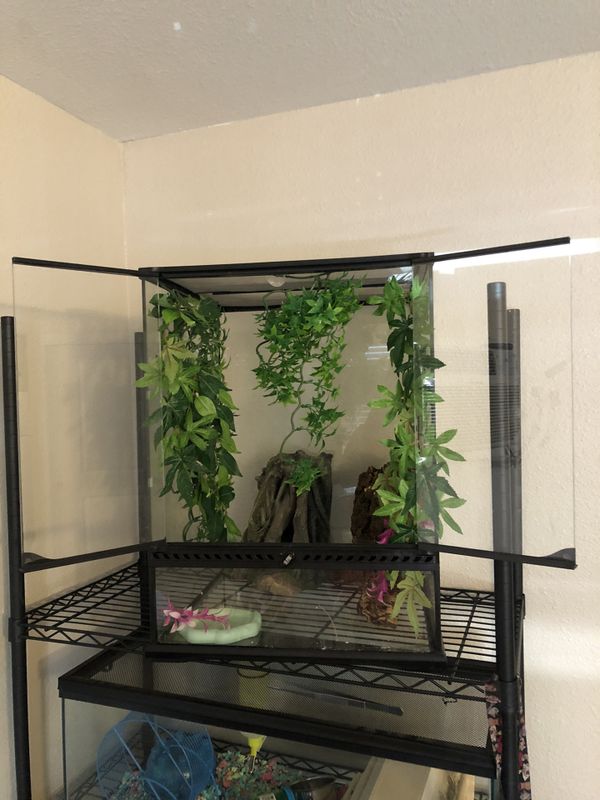 Exo Terra All Glass Reptile Enclosure/Tank/Terrarium/Cage 18x18x24 for