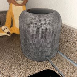 Apple HomePod Midnight Edition 