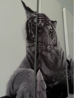 Tiger wall art painting