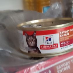 Cat Food