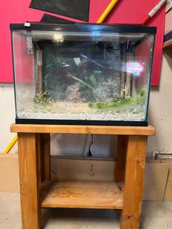 Aquarium