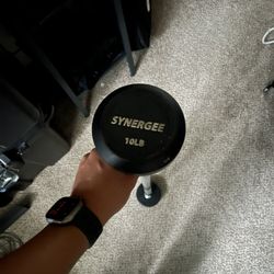 10LB Fixed Barbell 