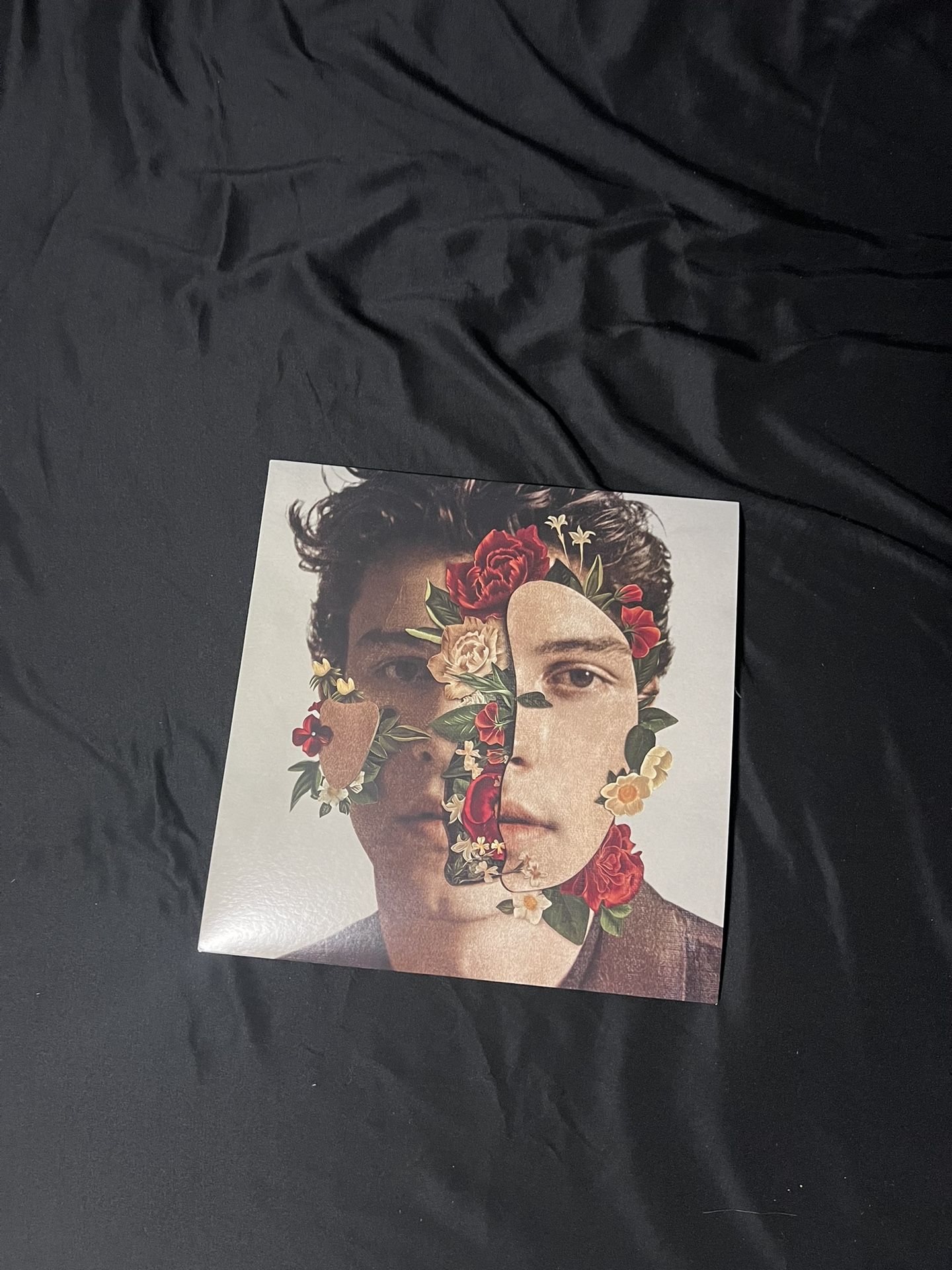 Shawn Mendes Vinyl