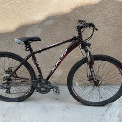 Schwinn Bicycle Large