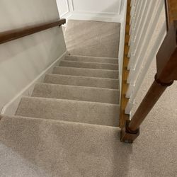 Carpet LVP and More