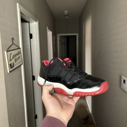 Jordan 11 Bred low