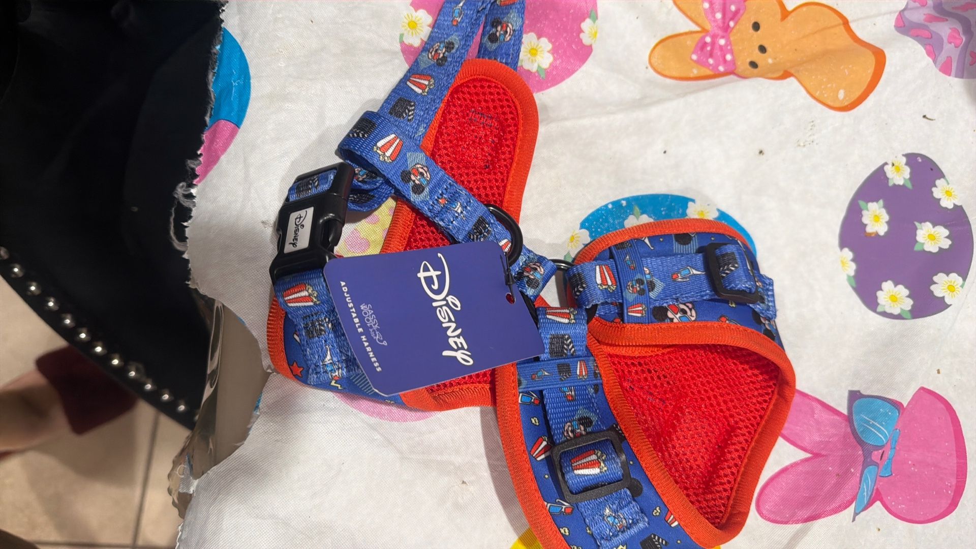 Dog Leashes, And More