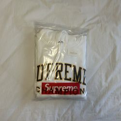 Supreme x Champion Hooded Sweatshirt White Size M SS17 DSWT