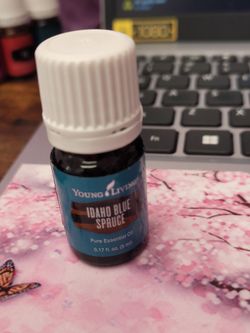 Idaho Blue Spruce essential oil
