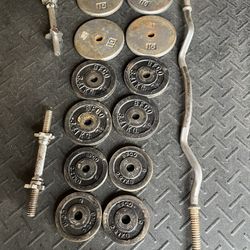 Standard Weights With Curling Bars