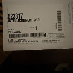 Intelliconnect WIFI Pool Controller For Phone Or iPad