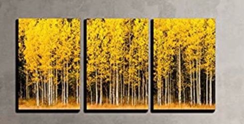 Canvas wall art - 3 pieces