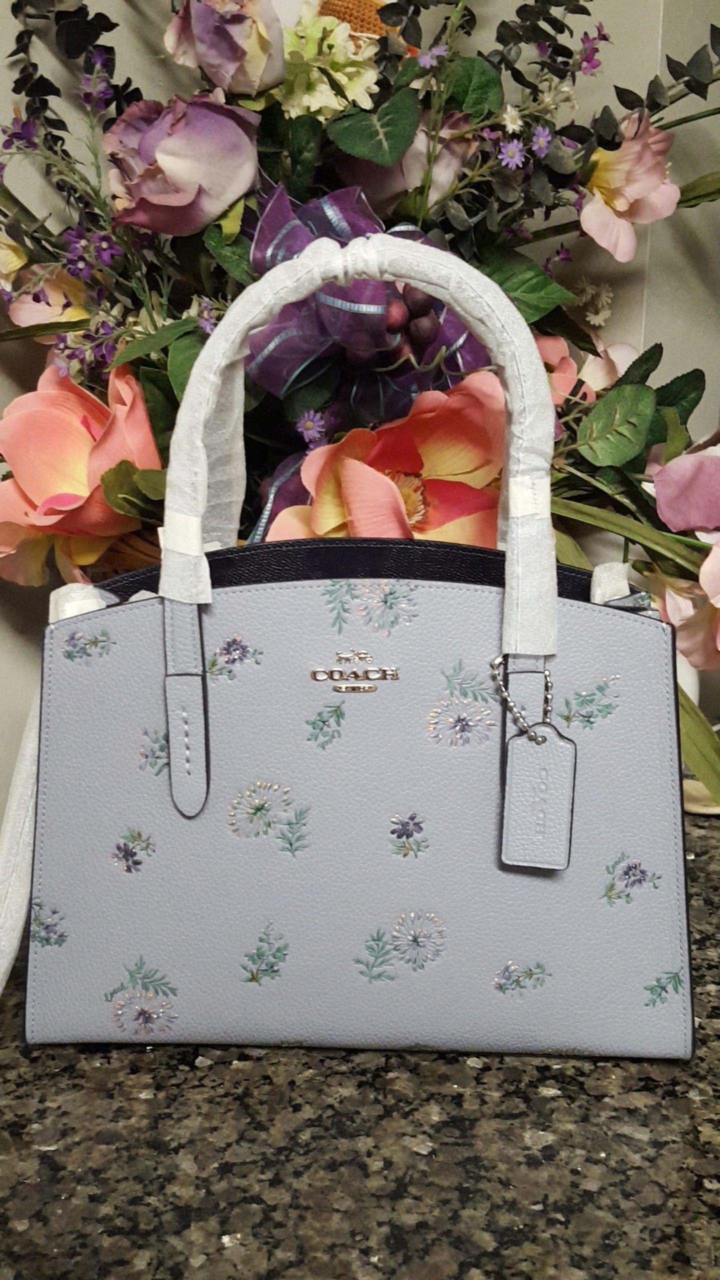 COACH Charlie Carryall