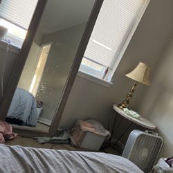 Greyish Full Body Mirror 