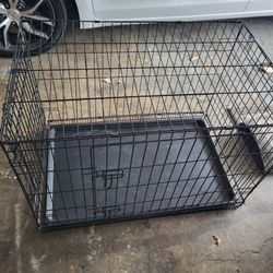 Folding Dog Crate