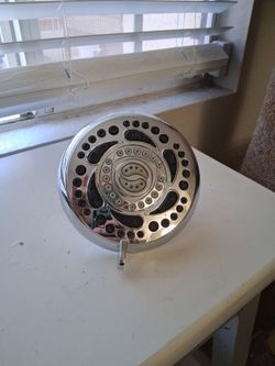 Delta Chrome Multi-Spray Shower Head