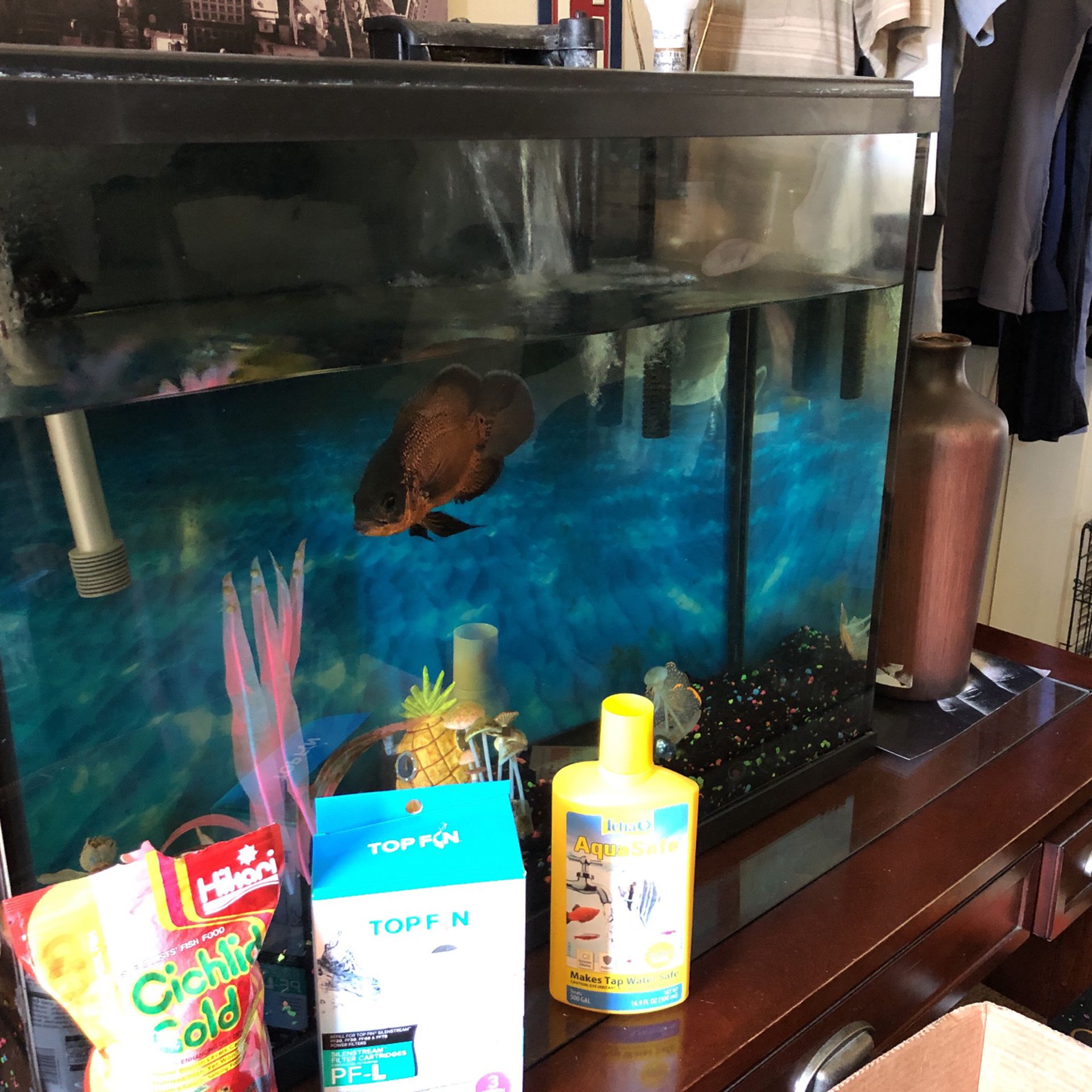 Aquarium  With Fish Food  And Filter Replacement And Aqua Safe Solution 