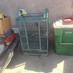 Parrot Cage 