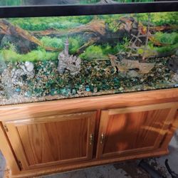 fish tank