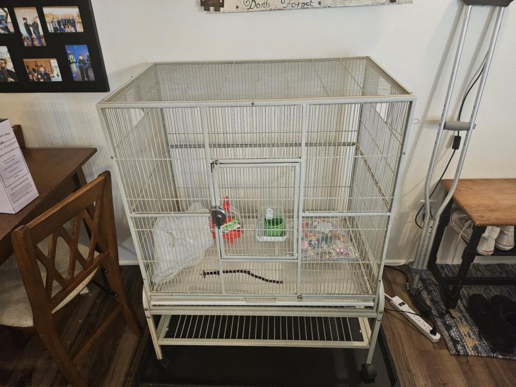 2 Bird Cages And Accessories