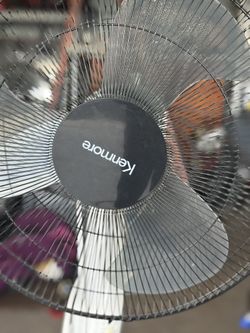 Standing Fan