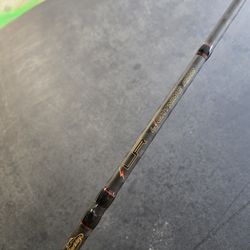 Berkley Lightning Rod