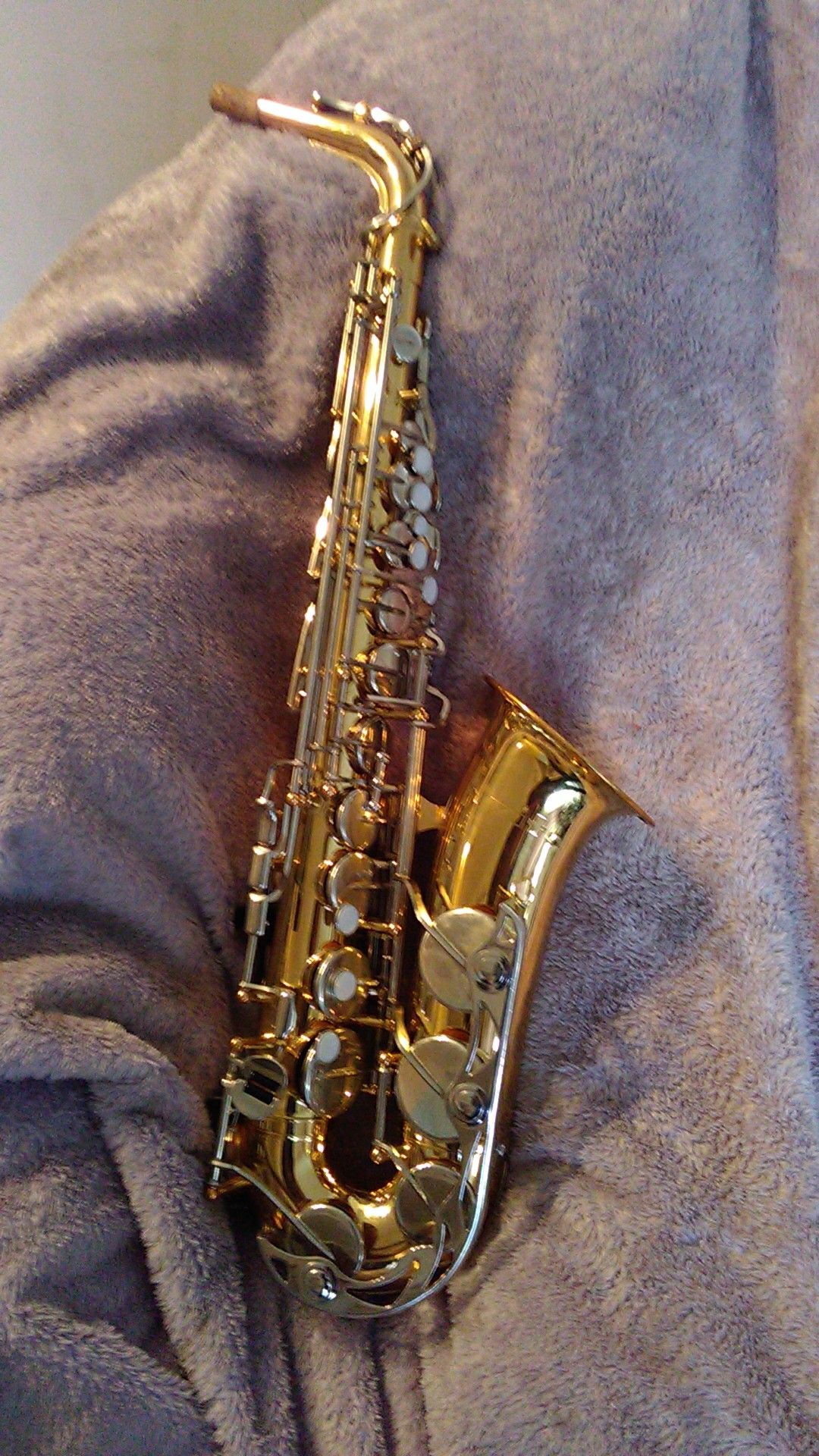 Professional Eb Alto Saxophone