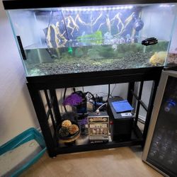 40 Gallon Fishtank Full Setup...... $300 obo Fish Not Included 